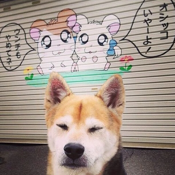 死神来了！那不勒斯VS罗马，35岁C罗关键回合从不手软